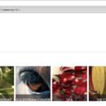 Traduzione contenuti sito internet per TE.MA Srl